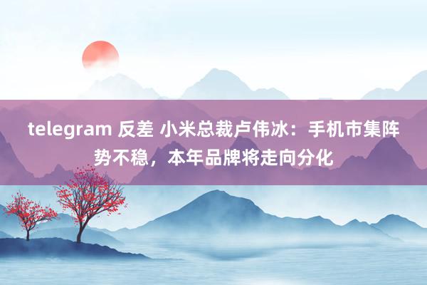 telegram 反差 小米总裁卢伟冰：手机市集阵势不稳，本年品牌将走向分化