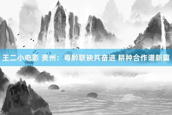 王二小电影 贵州：粤黔联袂共奋进 耕种合作谱新篇