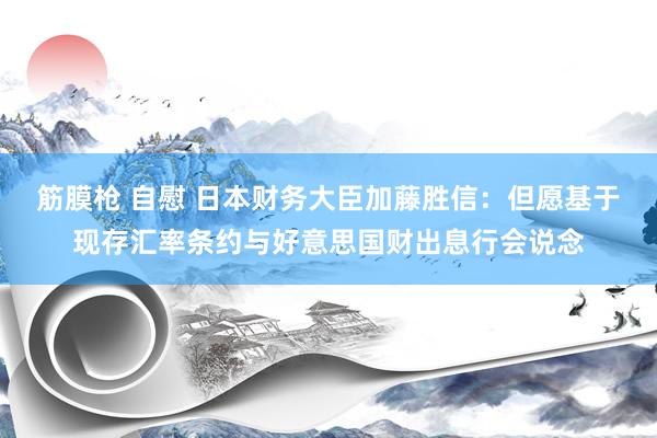 筋膜枪 自慰 日本财务大臣加藤胜信：但愿基于现存汇率条约与好意思国财出息行会说念