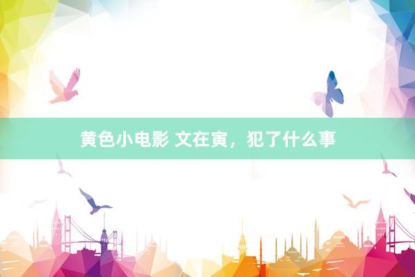 黄色小电影 文在寅，犯了什么事