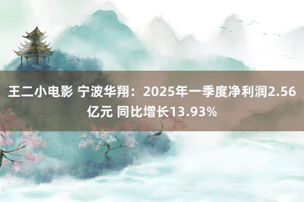 王二小电影 宁波华翔：2025年一季度净利润2.56亿元 同比增长13.93%