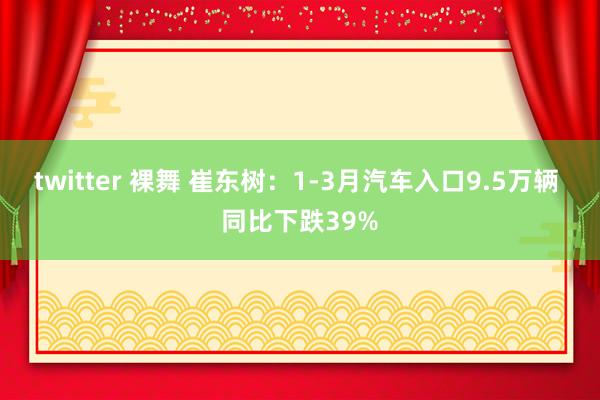 twitter 裸舞 崔东树：1-3月汽车入口9.5万辆 同比下跌39%