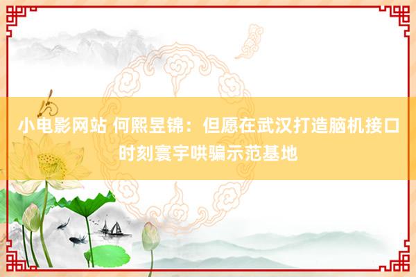 小电影网站 何熙昱锦：但愿在武汉打造脑机接口时刻寰宇哄骗示范基地