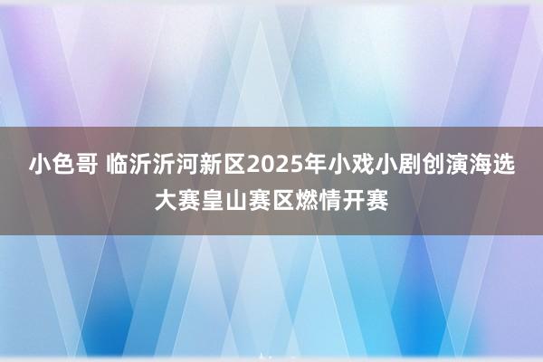 小色哥 临沂沂河新区2025年小戏小剧创演海选大赛皇山赛区燃情开赛